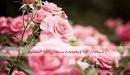 فوائد سبحان الله وبحمده سبحان الله العظيم