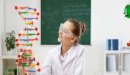 متى اكتشفت البنية الجزيئية للأحماض النووية في الجسم DNA؟