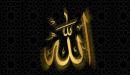 عجائب الخلق دليل على وجود الله تعالى