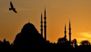 كم عدد المساجد في العالم