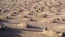 كم عدد شهداء غزوة احد