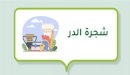 من هي شجرة الدر؟ تعرفي على قصة الملكة الأكثر فطنة وفتنة