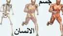 مم يتكون جسم الإنسان