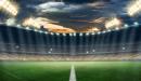 ظاهرة العنف في الملاعب