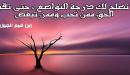 حديث من تواضع لله رفعه