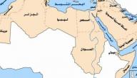عدد دول العالم العربي