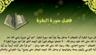 طريقة قراءة سورة البقرة يوميا