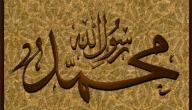 حديث الرسول عن فتن اخر الزمان