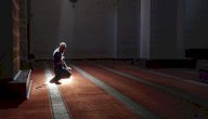 ما اثر حلم النبي في استجابة الناس لدعوة