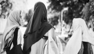 حديث من دعا إلى هدى