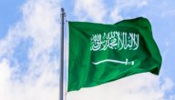 اين تقع الليث