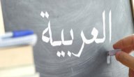 من أين أتت اللغة العربية؟