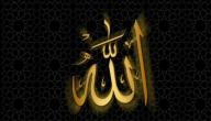 عجائب الخلق دليل على وجود الله تعالى