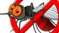 ما هي وسائل مكافحة البعوض