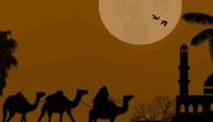 عمر بن الخطاب والعدل