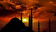 كم عدد الخلفاء الراشدين ومن هم