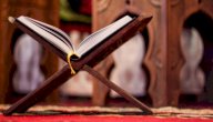 كم عدد أبناء عمر بن الخطاب؟
