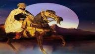 الشاعر ابو فراس الحمداني الشاعر ابو فراس الحمداني