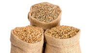 الفرق بين القمح والشعير