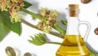 كيفية صنع زيت الخروع