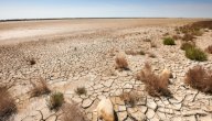 بحث عن ظاهرة التصحر بحث عن ظاهرة التصحر