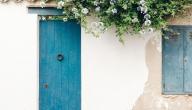 أفكار غير متوقعة لاستغلال الأبواب القديمة