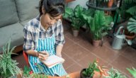 9 خضراوات ازرعيها في حديقتك المنزلية
