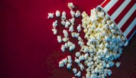 أحداث فيلم كتاب الأدغال: لحظات ممتعة مع مغامرات ماوكلي!