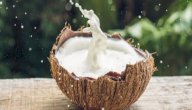فوائد حليب جوز الهند للبشرة: هل يزيل المكياج أيضًا؟