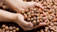 عززي صحة حملكِ عبر تناول البندق