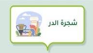 كيف ماتت شجرة الدر، وهل كانت نهايتها مأساوية؟