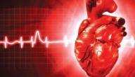 ما سبب زيادة ضربات القلب