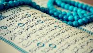 ما فائدة قراءة سورة يس