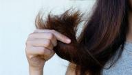 حل مشاكل الشعر