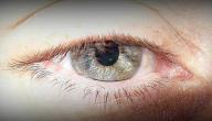 ما هو سبب رفة العين