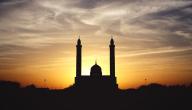 فوائد استغفر الله الذي لا اله الا هو الحي القيوم