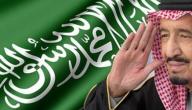 عدد افراد العائلة المالكة السعودية عدد افراد العائلة المالكة السعودية