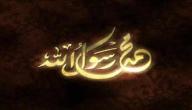 فوائد دراسة السيرة النبوية