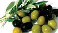 فوائد الزيتون