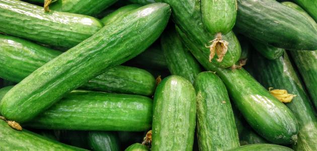 عدد السعرات الحرارية في الخيار