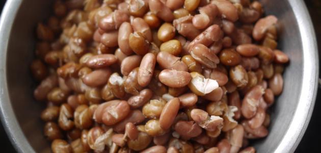 طريقة طبخ الفول الاخضر بالزيت