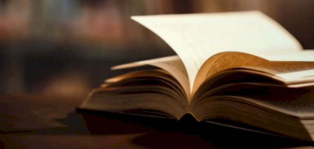 مظاهر الحكم العثمانى فى مصر