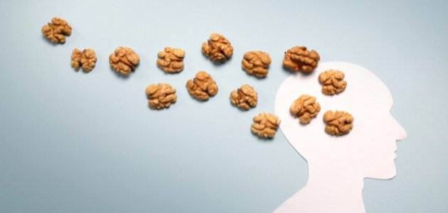 فوائد عين الجمل للذاكرة