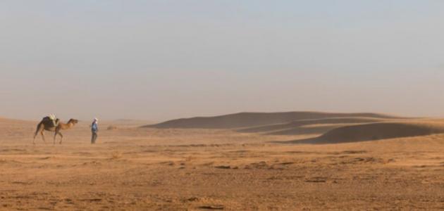 مدينة كلميم باب الصحراء