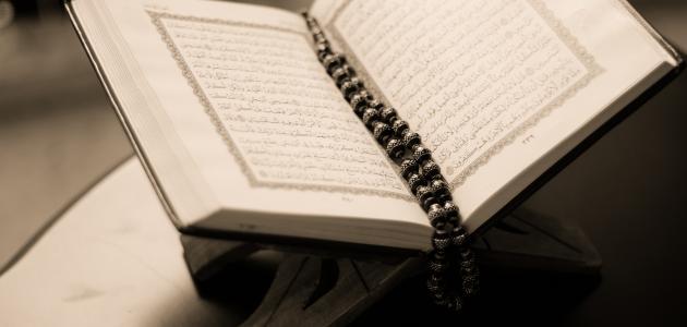 عدد الرسل في القرآن