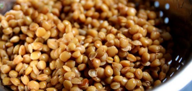 طريقة العدس الباكستاني