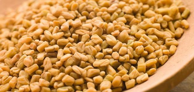 طريقة عمل الحلبة المعقودة