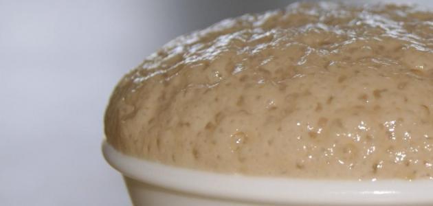 طريقة عمل الخميرة البيرة
