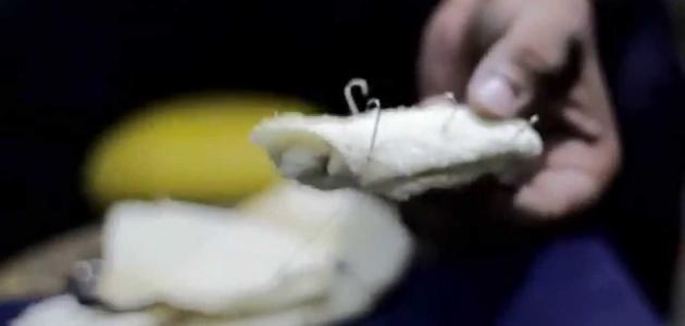 طريقة عمل عجينة صيد السمك