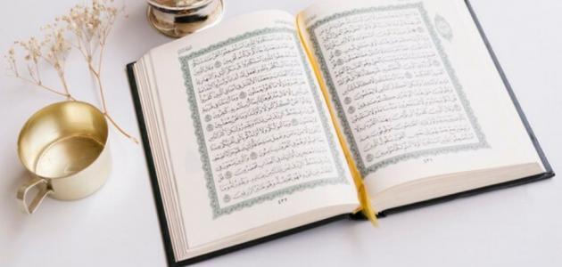 عدد كلمات القران الكريم بدون تكرار